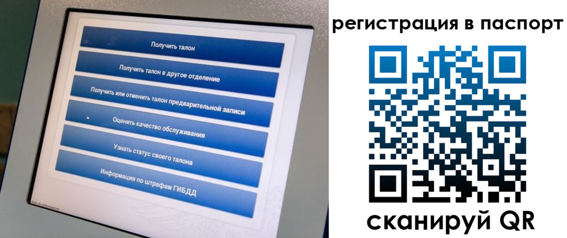 временная регистрация адрес в Острове